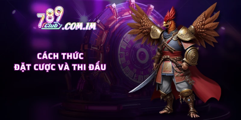 Cách thức đặt cược và thi đấu