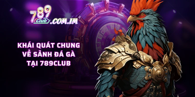 Khái quát chung về sảnh đá gà tại 789CLUB